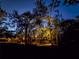 Night view of backyard with trees illuminated by lighting at 22343 Panther Loop, Bradenton, FL 34202