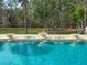 Inviting pool with decorative fountains and tranquil setting at 22343 Panther Loop, Bradenton, FL 34202