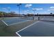 Well-lit pickleball courts with shade structure at 236 Golden Harbour Trl, Bradenton, FL 34212