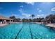Large community pool with plenty of lounge chairs at 236 Golden Harbour Trl, Bradenton, FL 34212