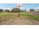 Outdoor basketball court with green space at 3001 Seawind Cir # 10C, Venice, FL 34293