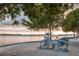 Calm waterfront scene at sunset with boats and a decorative bike at 4152 Central Sarasota Pkwy # 727, Sarasota, FL 34238