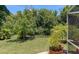 Spacious backyard with mature trees and lush greenery at 7331 Westmoreland Dr, Sarasota, FL 34243
