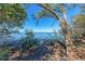 Scenic waterfront view with lush trees at 1125 Edgewater Cir # 13 Sec 1, Bradenton, FL 34209