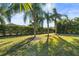 Landscaped backyard with lush lawn and palm trees at 11422 Griffith Park Ter, Bradenton, FL 34211