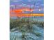 Beach sunset with tall grasses in the foreground and people relaxing at 204 Crew Ct, Sarasota, FL 34243
