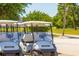 Line of Club Car golf carts ready for use at 4110 Ironwood Cir # 301, Bradenton, FL 34209