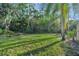 Backyard with lush green grass and palm trees at 144 Wild Palm Dr, Bradenton, FL 34210