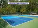Multiple blue pickleball courts available on the property for friendly recreational activities and competitive play at 3102 Windrush Bourne # 4, Sarasota, FL 34235