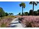 Scenic walking path lined with pink muhly grass at 3810 Gulf Of Mexico Dr # F402, Longboat Key, FL 34228