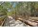 Wooden boardwalk path winds through lush mangroves, offering a tranquil escape at 653 Cedars Ct, Longboat Key, FL 34228