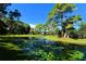 Scenic pond with lily pads and surrounding trees at 7938 Pinegrove Ct # 12, Sarasota, FL 34238