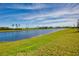 Peaceful lakefront view with lush green grass at 9814 Daybreak Gln, Parrish, FL 34219