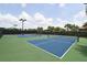 Two well-lit outdoor pickleball courts at 12413 Osorio Ct # 103, Sarasota, FL 34238