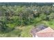Tranquil aerial view of the backyard, showing lush greenery and a screened-in pool area at 12651 Garibaldi Ln, Venice, FL 34293