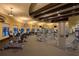 Well-equipped fitness center with various exercise machines at 12651 Garibaldi Ln, Venice, FL 34293