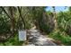 Nature trail through lush vegetation, leading to waterfront access at 1620 Starling Dr # 204, Sarasota, FL 34231