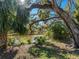 Relaxing view of the backyard pond with surrounding trees and greenery at 1695 Lowe Dr, Sarasota, FL 34236