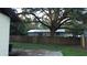 Large backyard with a wooden fence and mature trees at 219 E Early St, Brooksville, FL 34601
