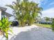 Landscaped backyard with palm trees and white rock at 536 Ketch Ln, Longboat Key, FL 34228