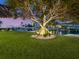 Landscaped backyard with large tree and lighting at 536 Ketch Ln, Longboat Key, FL 34228