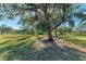 Large backyard with lush landscaping and mature trees at 6300 26Th E Ave, Bradenton, FL 34208