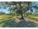 Spacious backyard with mature oak trees and pond views at 6300 26Th E Ave, Bradenton, FL 34208