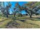 Peaceful waterfront view with oak trees and grass at 6300 26Th E Ave, Bradenton, FL 34208