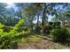 Lush landscaping with mature trees and shrubs at 151 Wild Palm Dr # 151, Bradenton, FL 34210