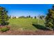 Expansive green space with a soccer goal at 15404 Trinity Fall Way, Bradenton, FL 34212