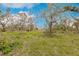 Open grassy land with scattered trees at 27651 State Road 64 E, Myakka City, FL 34251