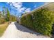 Gravel driveway with lush green hedge at 327 Hernando Ave, Sarasota, FL 34243