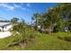 Landscaped yard with tropical plants and trees at 327 Hernando Ave, Sarasota, FL 34243