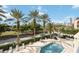 Community pool with lounge chairs and surrounding landscape at 340 S Palm Ave # Pl1, Sarasota, FL 34236