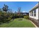 Landscaped backyard with a well-maintained lawn and privacy fence at 5817 Hevena Ct, Palmetto, FL 34221