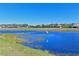 Serene lake view with golf course in the background at 1003 Fairwaycove Ln # 101, Bradenton, FL 34212