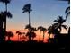 Stunning sunset view over palm trees, creating a picturesque tropical scene at 2100 Benjamin Franklin Dr # 108, Sarasota, FL 34236