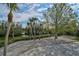 Landscaped backyard with tropical plants and canal views at 4027 Siren Rd, Venice, FL 34293