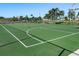 Green outdoor basketball court with white lines at 4608 Halls Mill Xing, Ellenton, FL 34222