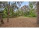 Wooded backyard area with a grassy clearing at 6207 93Rd Street E Cir, Bradenton, FL 34202