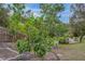 Lush backyard with various fruit trees and plants at 6207 93Rd Street E Cir, Bradenton, FL 34202