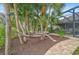 Relaxing hammock area in a lush tropical backyard at 654 Trenton Way, Osprey, FL 34229