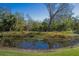 Serene pond with lush natural surroundings at 7203 41St E Ct, Sarasota, FL 34243