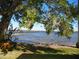 Peaceful waterfront view with pier and lush foliage at 9 Plaza E St, Bradenton, FL 34208