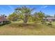 Large backyard with a big tree and grassy lawn at 121 Van Dyck Dr # Dr, Nokomis, FL 34275