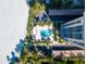 Overhead view of resort-style pool with lounge chairs and palm trees at 1212 Benjamin Franklin Dr # 305, Sarasota, FL 34236