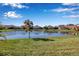 Scenic pond view with lush green grass and homes at 12915 True Blue Cir, Bradenton, FL 34211