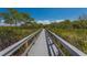 Scenic boardwalk path through lush mangroves at 1423 Landings Pl # 59, Sarasota, FL 34231