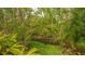 Tranquil waterway view with lush vegetation at 1621 Clower Creek Dr # Tr173, Sarasota, FL 34231