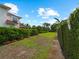 Landscaped backyard, featuring lush greenery and a hedge fence at 1981 Bayshore Dr, Englewood, FL 34223